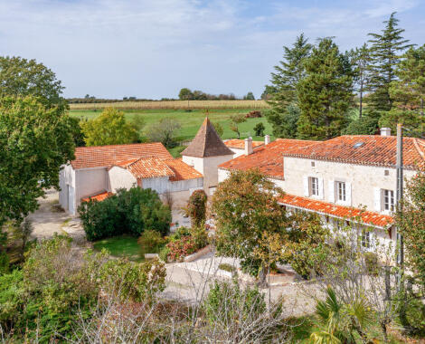 Propriété en pierre à vendre à Pujols